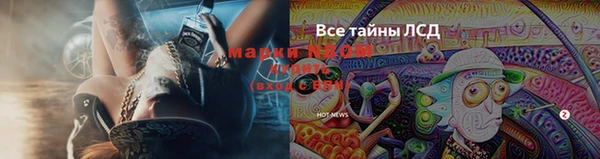 твердый Зерноград
