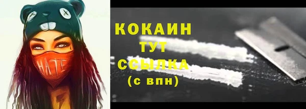амф Зеленокумск