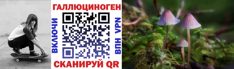 Купить закладки Сясьстрой Псилоцибиновые грибы Cubensis